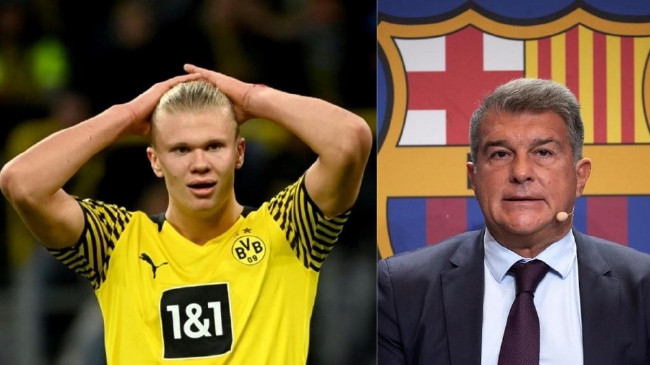 得分能力确实不错，但开拓者后场新星在其他方面的能力都非常有限（得分能力在线，但开拓者后场新星在其余方面短板明显）